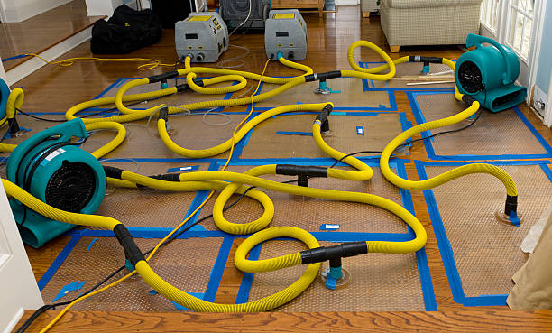 Professional Flood Damage Restoration technician working in Barryton, MI