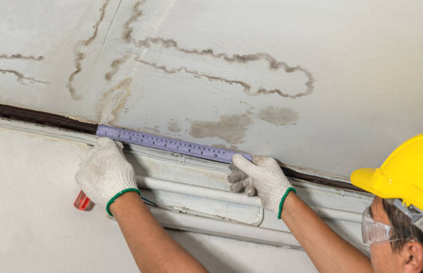 Affordable Water Damage Repair solutions in Barryton, MI